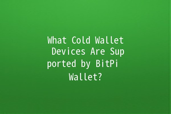 What Cold Wallet Devices Are Supported by BitPi Wallet? 🪙💻