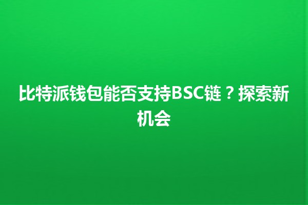 比特派钱包能否支持BSC链？💰🌐探索新机会