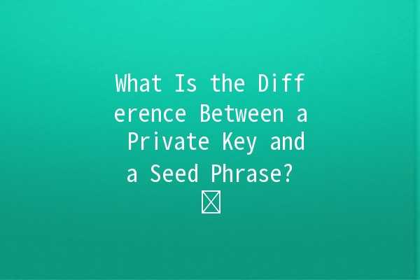 What Is the Difference Between a Private Key and a Seed Phrase? 🔒🗝️