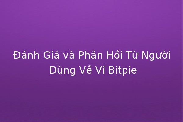 Đánh Giá và Phản Hồi Từ Người Dùng Về Ví Bitpie 🌟💰