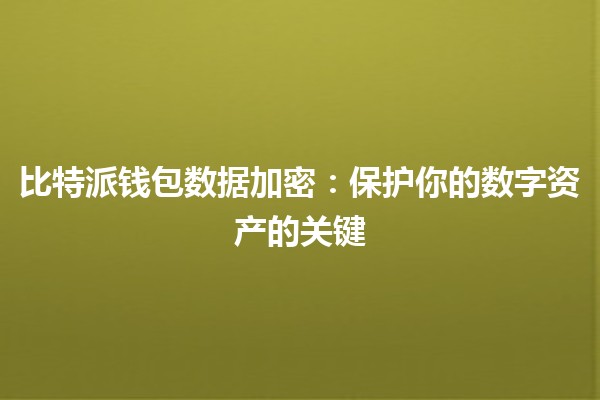 比特派钱包数据加密：保护你的数字资产的关键 🔒💰